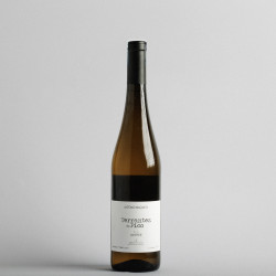 Terrantez do Pico, Branco, 2023